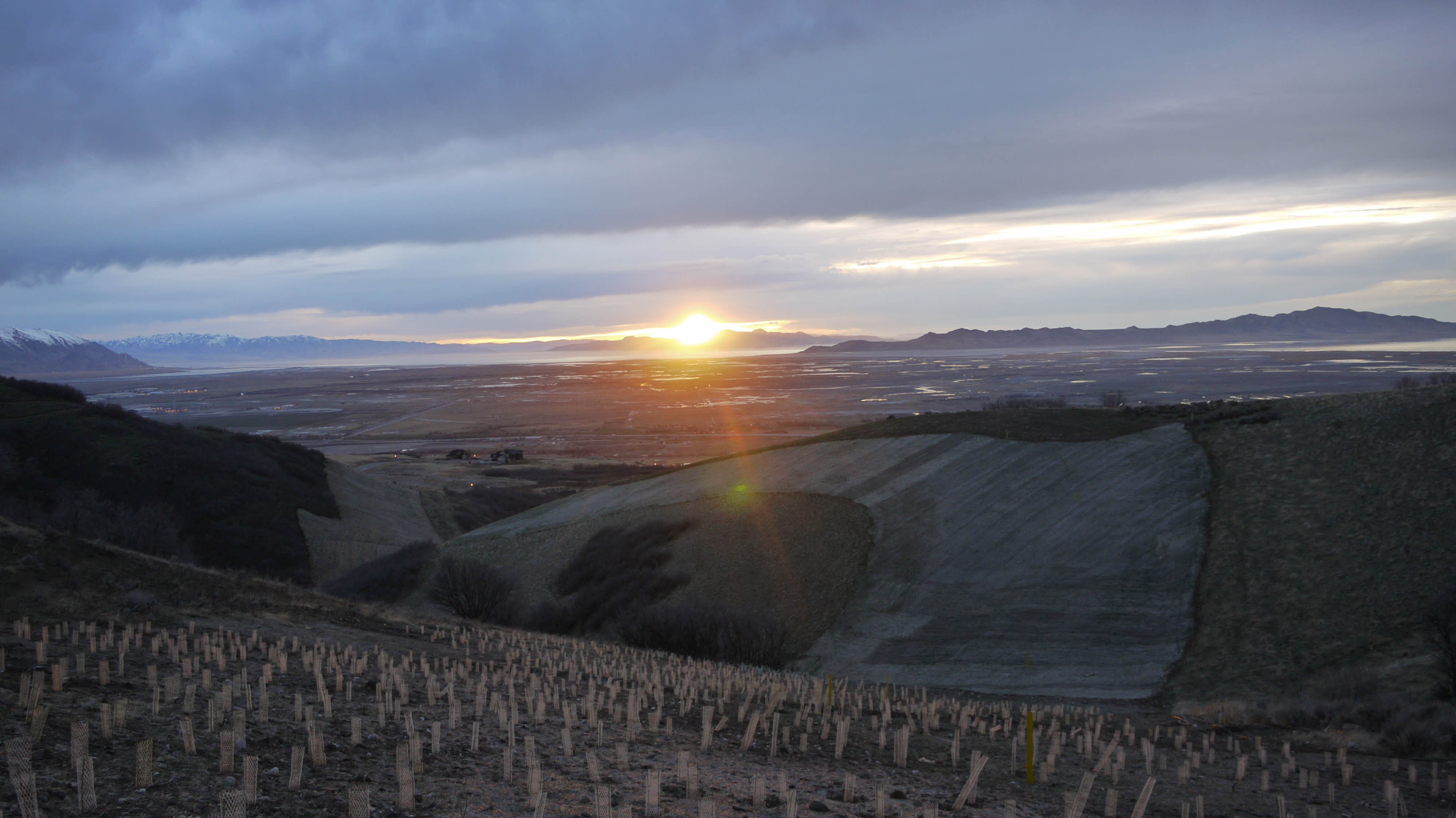 Western View from Wild Rose Loop